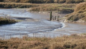 Thornham creek, from sketchbook © Mari French 2011
