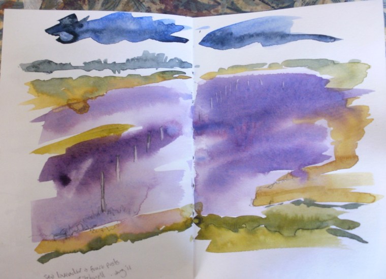 Sea Lavender, Norfolk (sketch) © Mari French 2011
