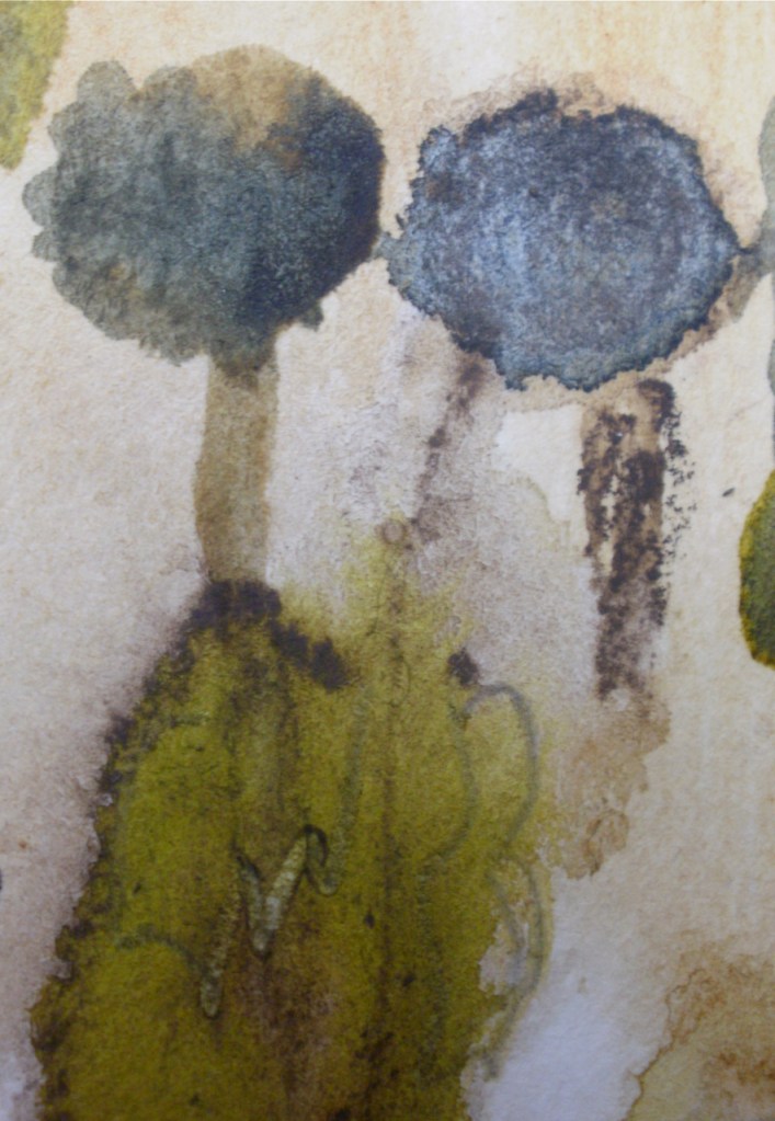 dead sunflowers © Mari French 2011