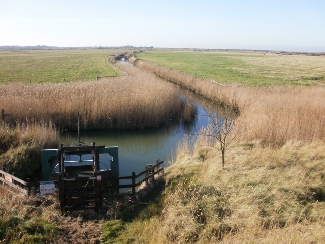 Thornham Marsh (digital photo) © Mari French 2012
