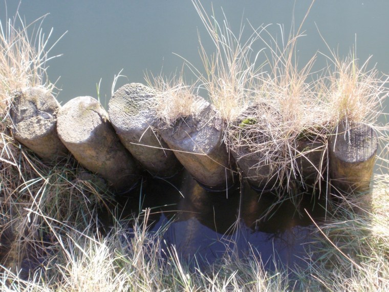 remains of staithe (digital photo) © Mari French 2012