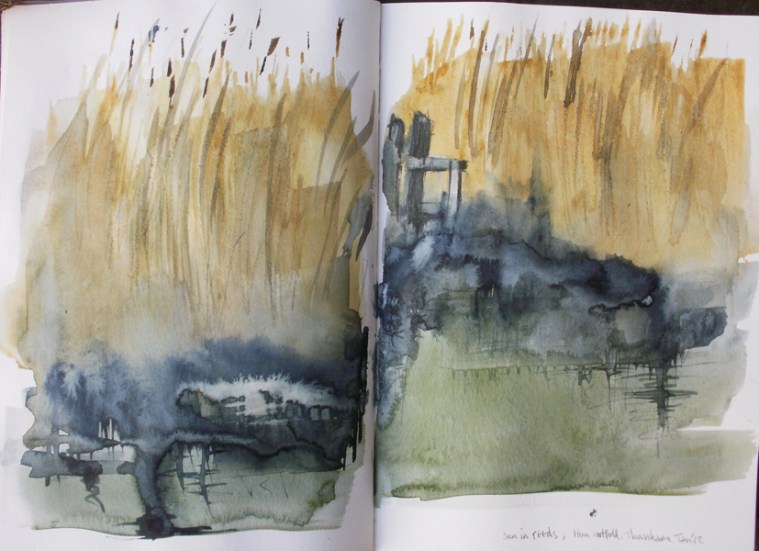 Reedbed sketch © Mari French 2012