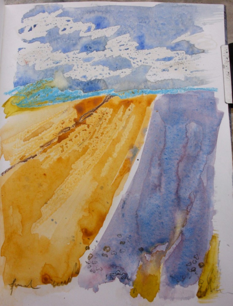 stubble and borage crop