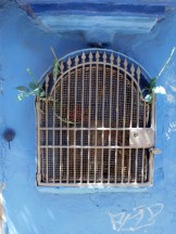 Wall shrine, Venice © Mari French 2012