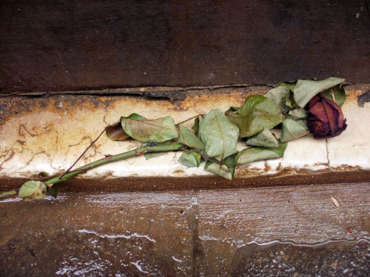 found still life © Mari French 2012