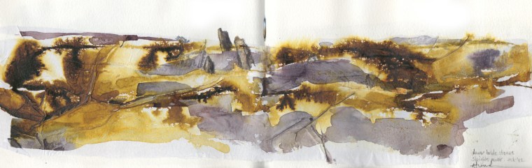 Lower Bridestones, Sleights Moor © Mari French 2012