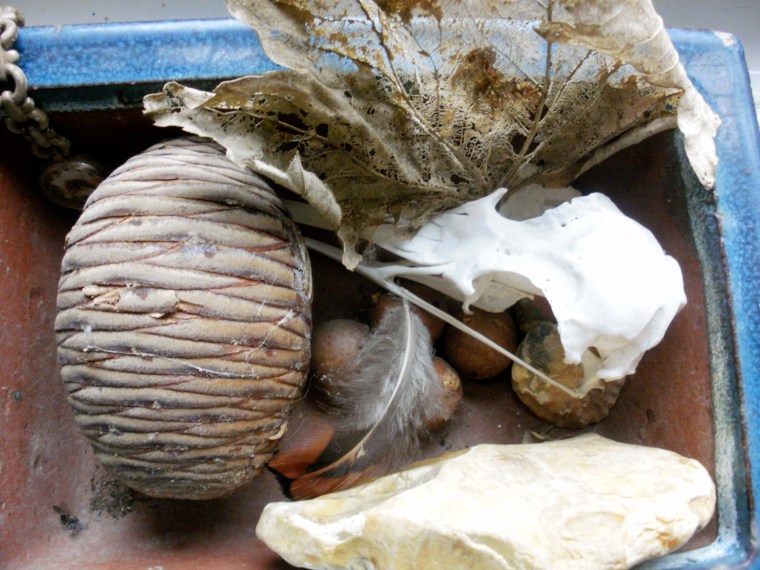 studio still life, digital photo © Mari French 2012