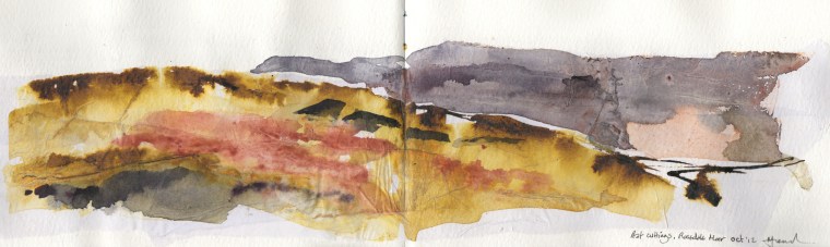 Peat cuttings, Rosedale Moor © Mari French 2012