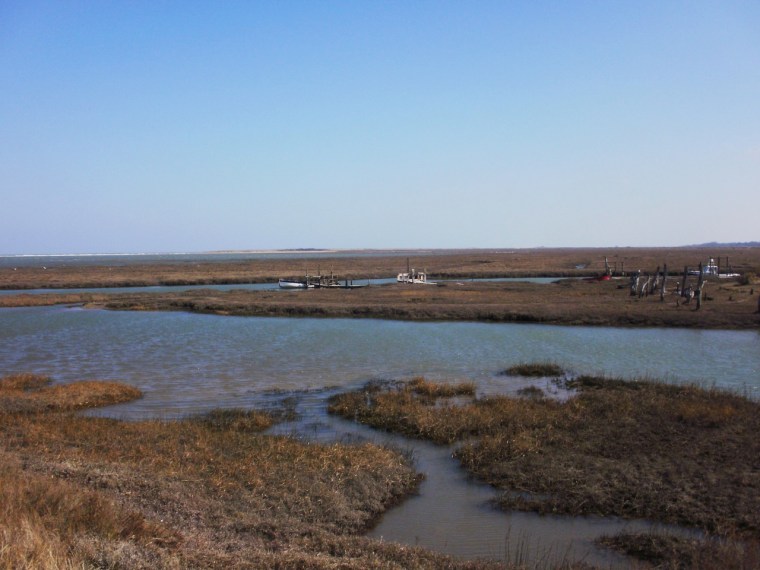 Thornham creek & saltmarsh, Norfolk