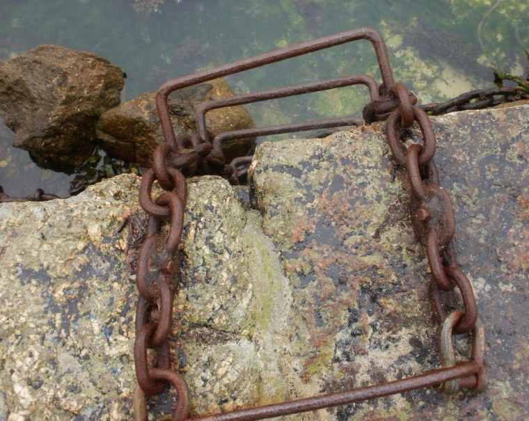 Rungs, Mousehole harbour.