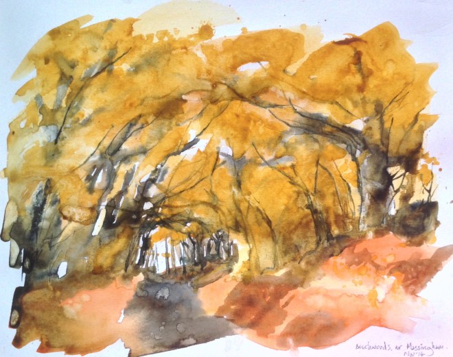 Beech woods near West Acre. Mari French