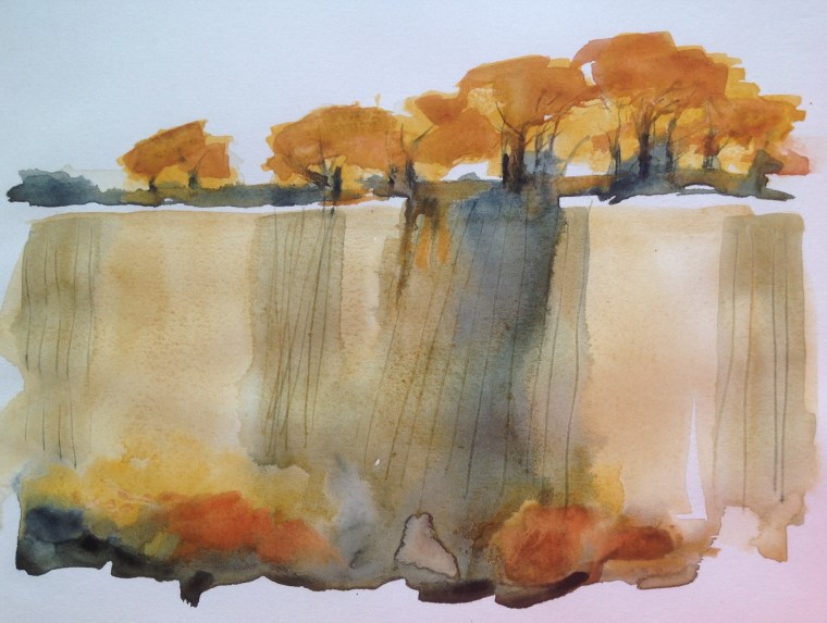 Beech woods and stubble, Massingham Heath. Mari French