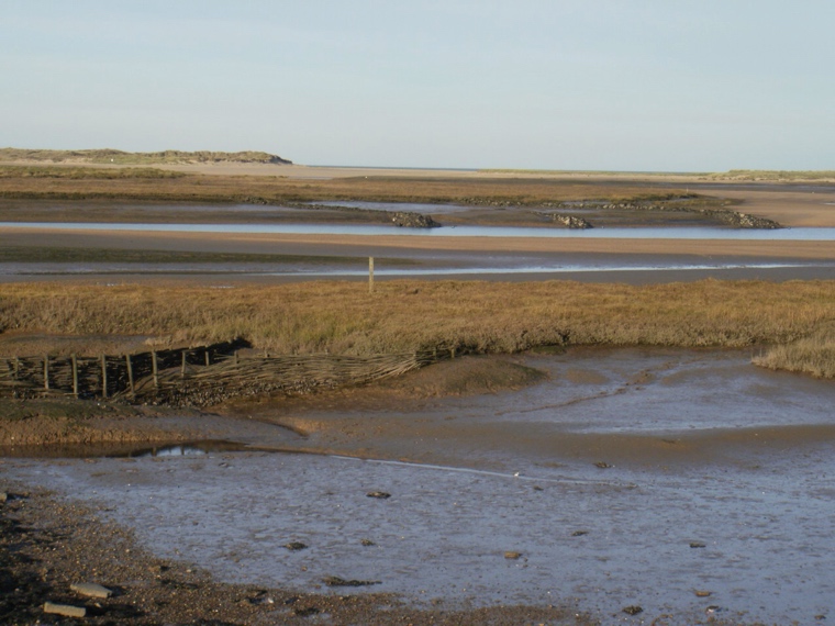 Woven bank supports, Burnham Overy marsh. Mari French 2014