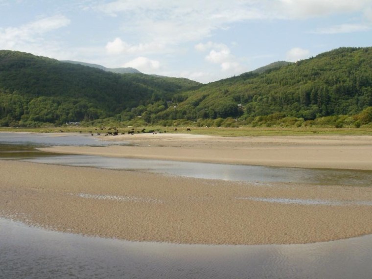 Mawddach estuary. Mari French 2015