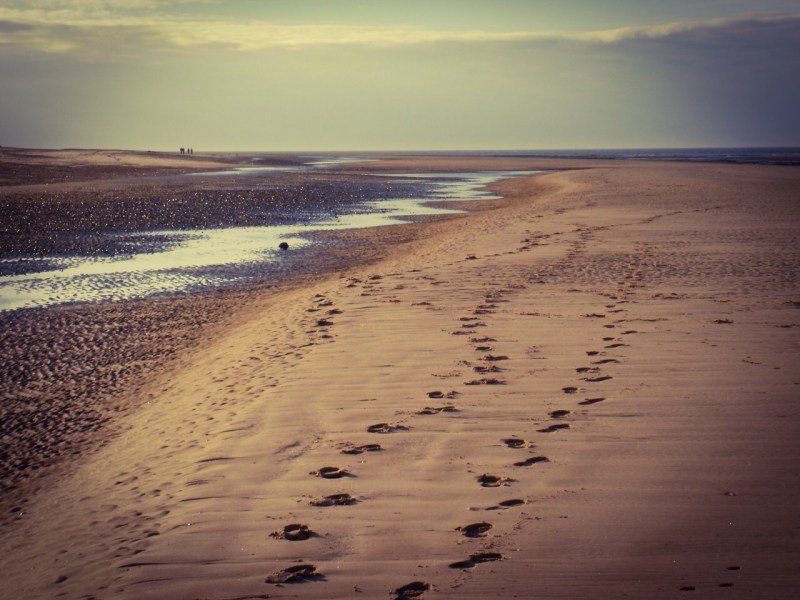 Holme Beach, footprints. Holme Beach, footprints. Mari French 2015