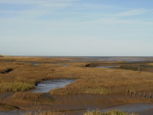 Saltmarsh, Thornham, November. Saltmarsh, Thornham, November. Mari French 2015