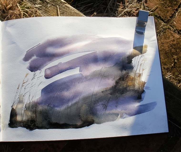 Reedbeds at Thornham, sketchbook. Mari French 2015