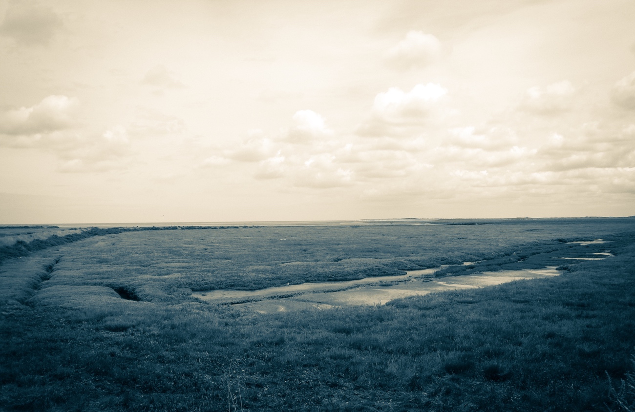 Ragged Marsh. &copy; Mari French 2016