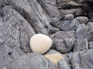 Boat Cove stones © Mari French 2017