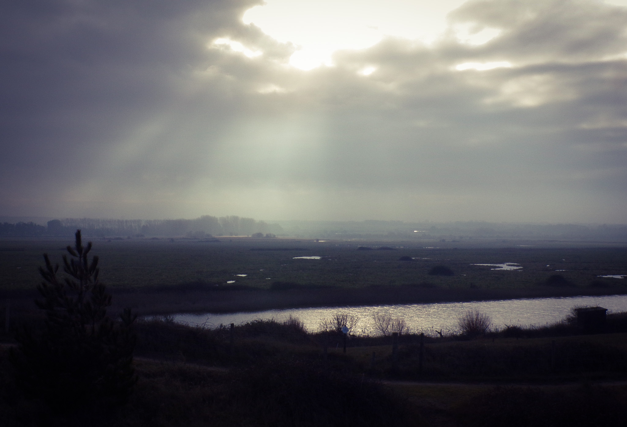 Holme bird reserve, Norfolk. © Mari French 2018