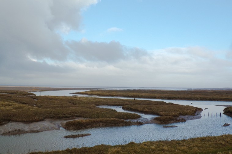 Thornham creek, North Norfolk. © Mari French 2018
