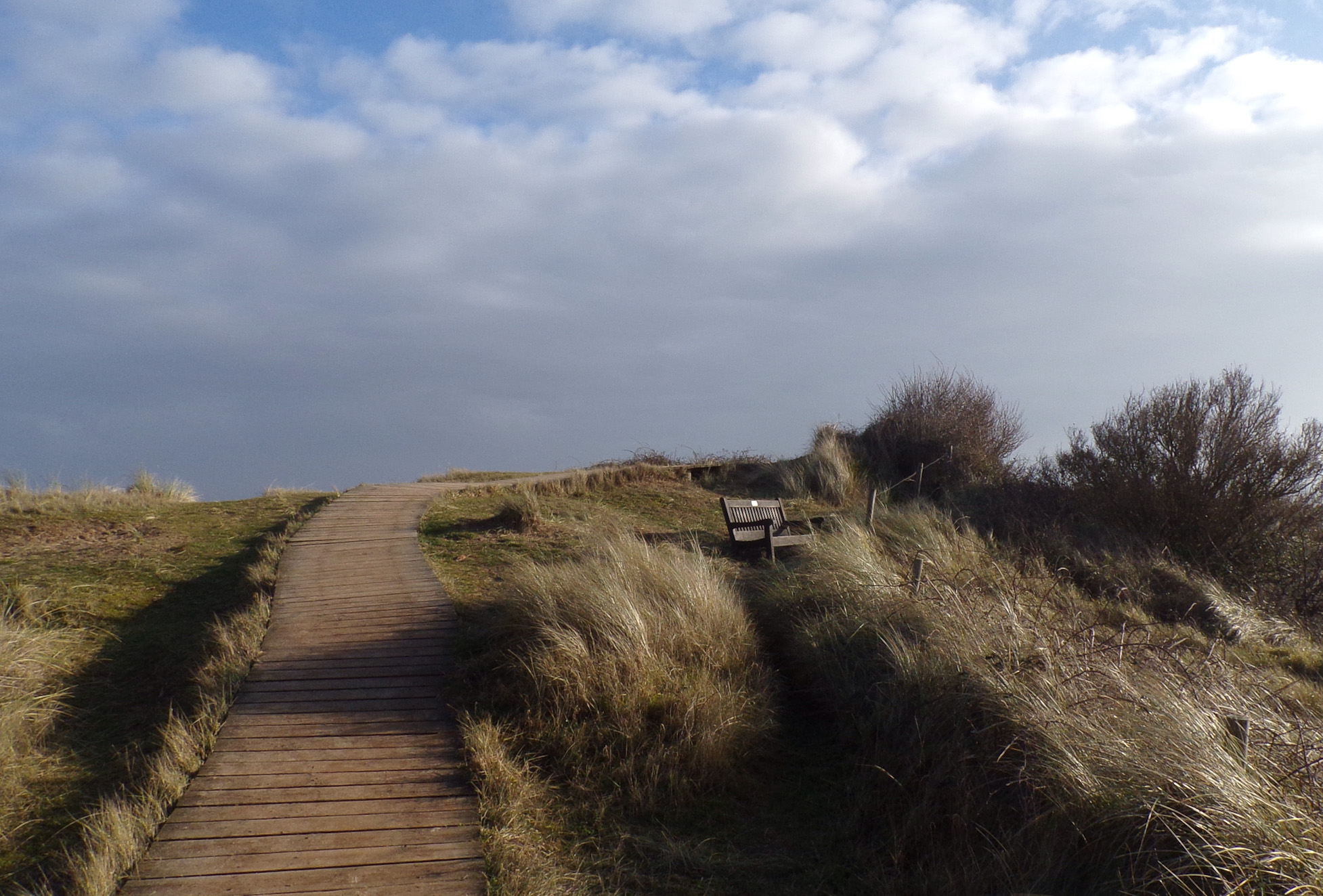 Viewpoint with handy bench! Holme bird reserve, Norfolk. © Mari French 2018Viewpoint with handy bench! Holme bird reserve, Norfolk. © Mari French 2018