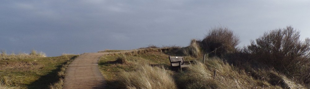 Viewpoint with handy bench! Holme bird reserve, Norfolk. © Mari French 2018Viewpoint with handy bench! Holme bird reserve, Norfolk. © Mari French 2018