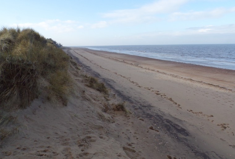 Holme dunes , Norfolk. © Mari French 2018