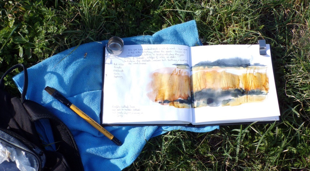 Sketching reedbeds in spring sunshine. © Mari French 2018