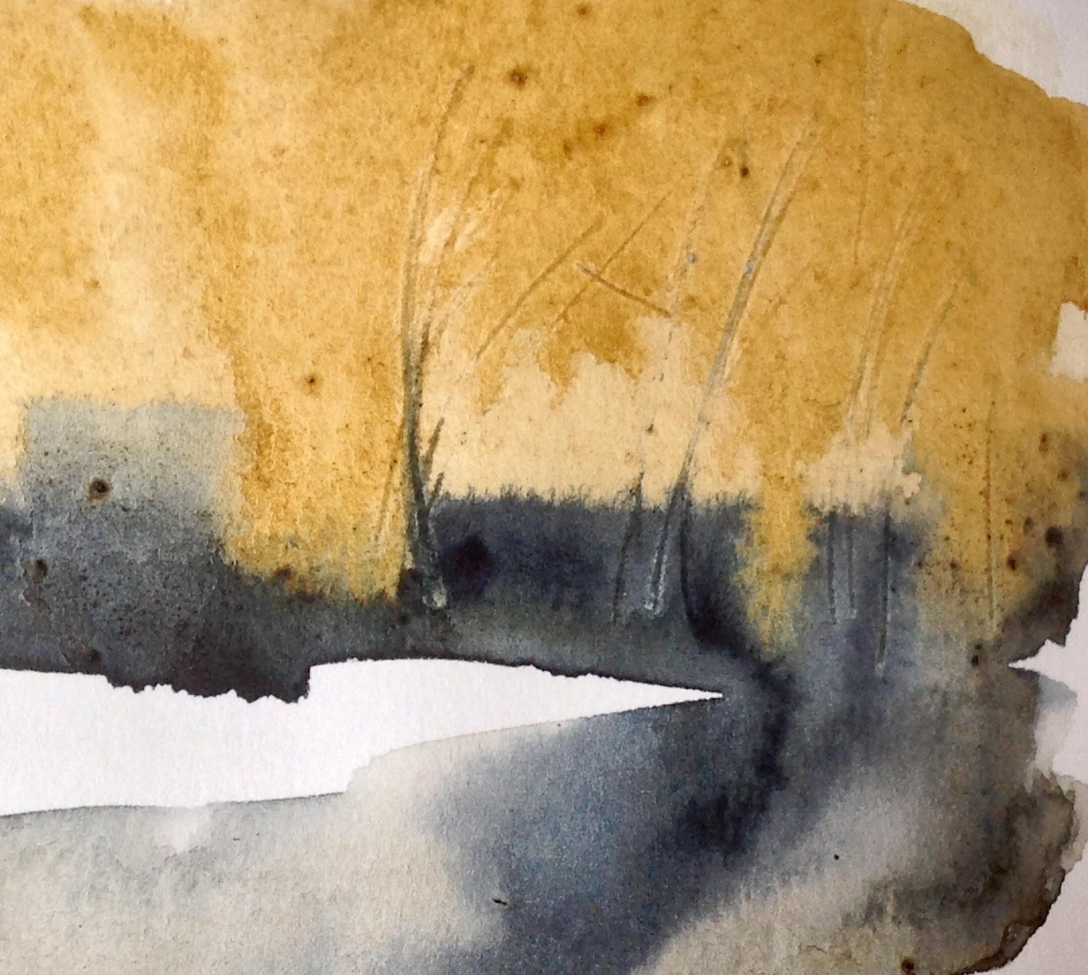 Reedbed sketch (detail) 3 © Mari French 2017