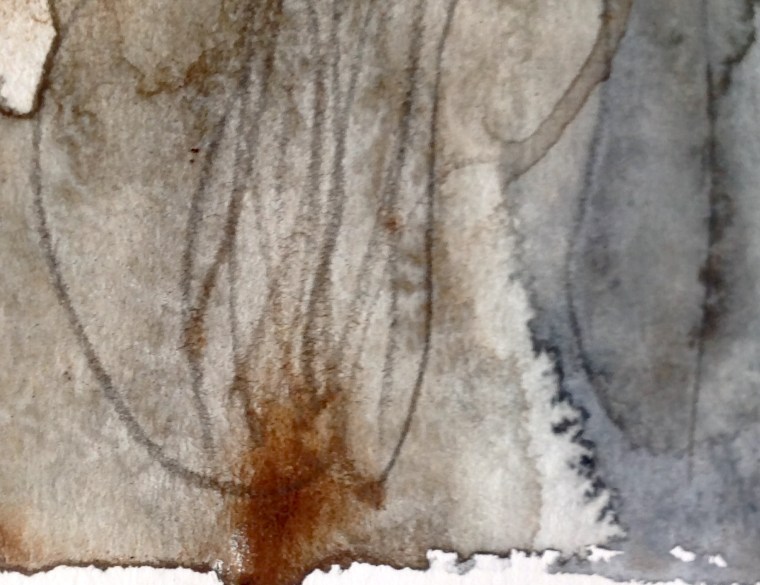 Reedbed sketch (detail) 6 © Mari French 2017Reedbed sketch (detail) 6 © Mari French 2017