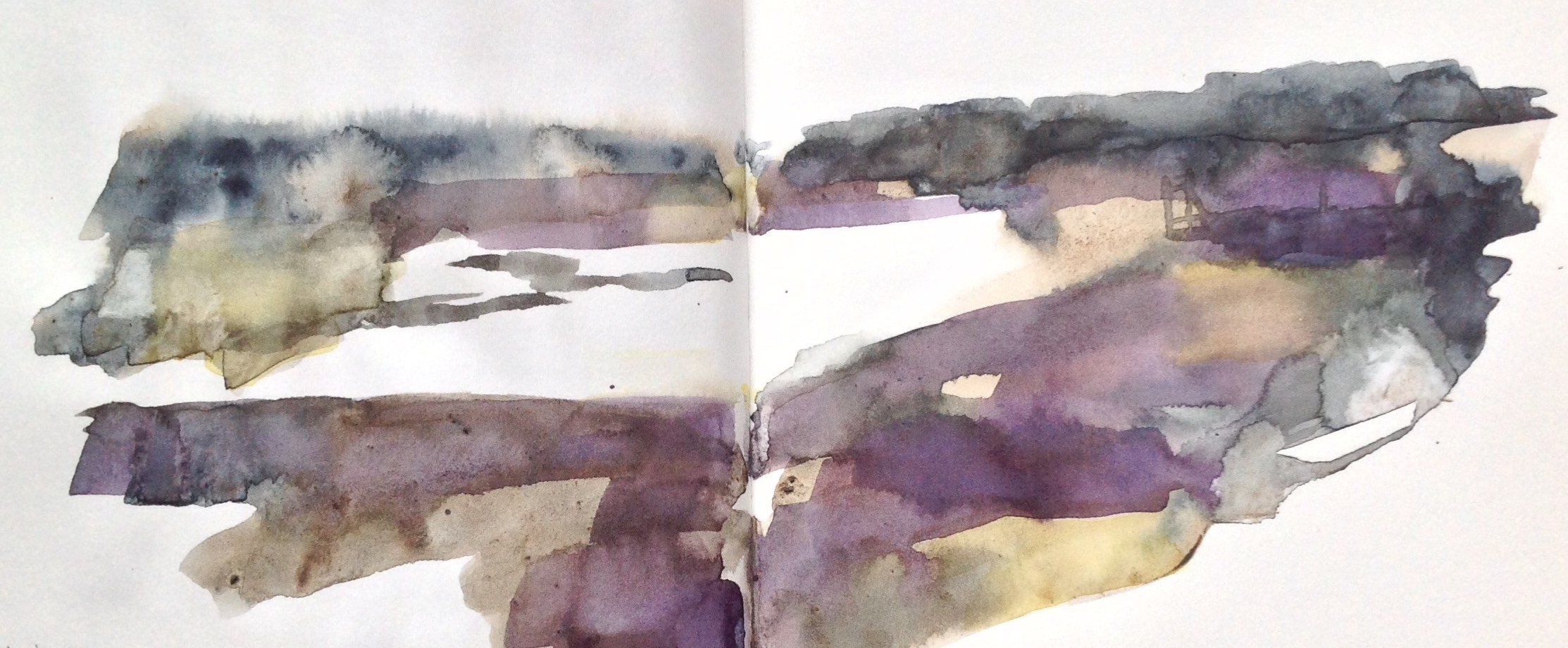 Sea lavender sketch, Thornham saltmarsh