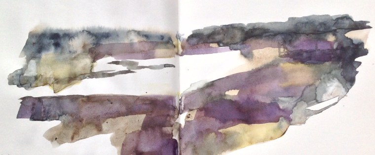 Sea lavender sketch, Thornham saltmarsh