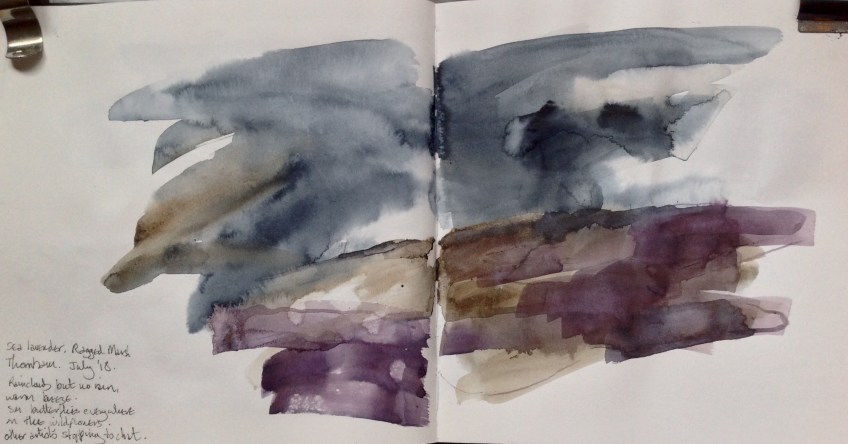 Sea lavender and dark skies, Thornham, North Norfolk. © Mari French 2018