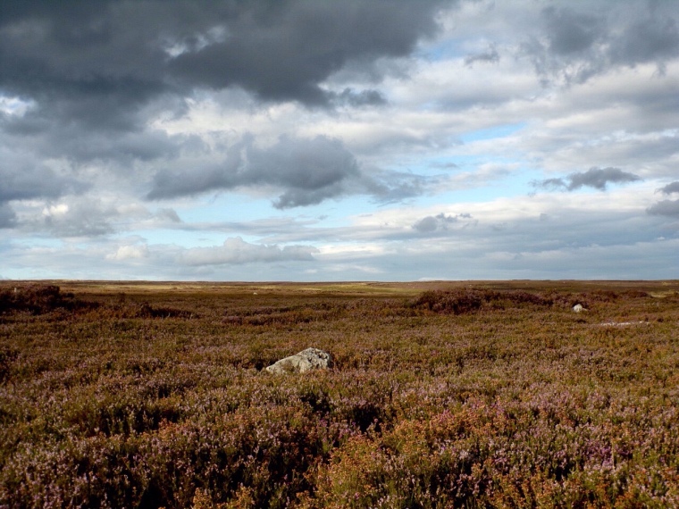 High moorland near Rosedale