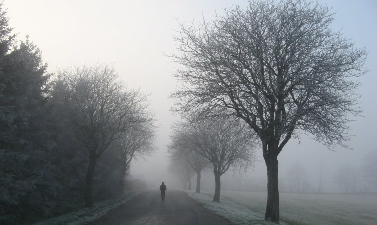 person walking on road between trees